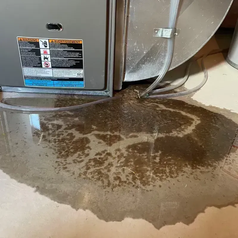 Appliance Leak Cleanup in Grayslake, IL